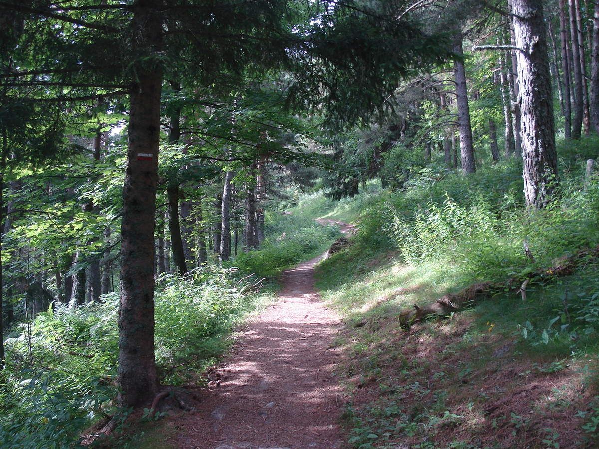 LOCATION COSY APPARTEMENT A LANS EN VERCORS Hiver ou Eté Lans en Vercors