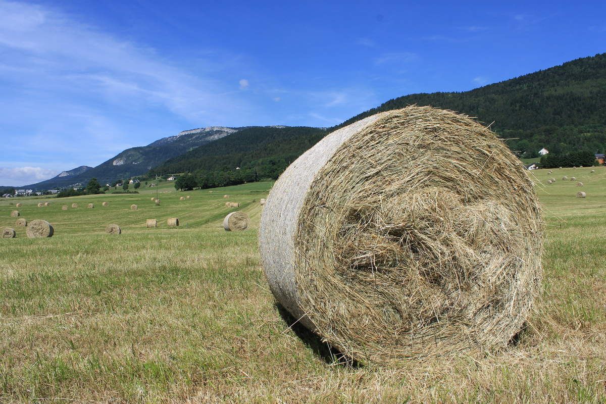 LOCATION COSY APPARTEMENT A LANS EN VERCORS Hiver ou Eté Lans en Vercors