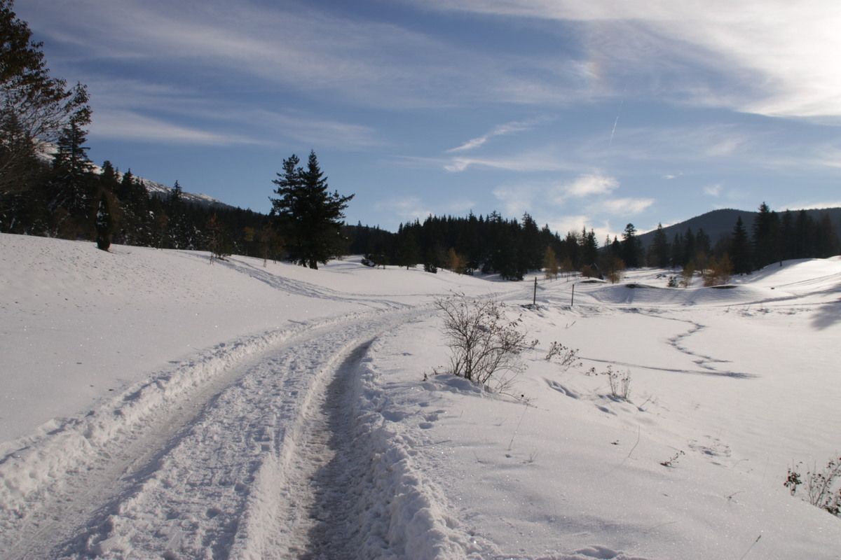LOCATION COSY APPARTEMENT A LANS EN VERCORS Hiver ou Eté Lans en Vercors