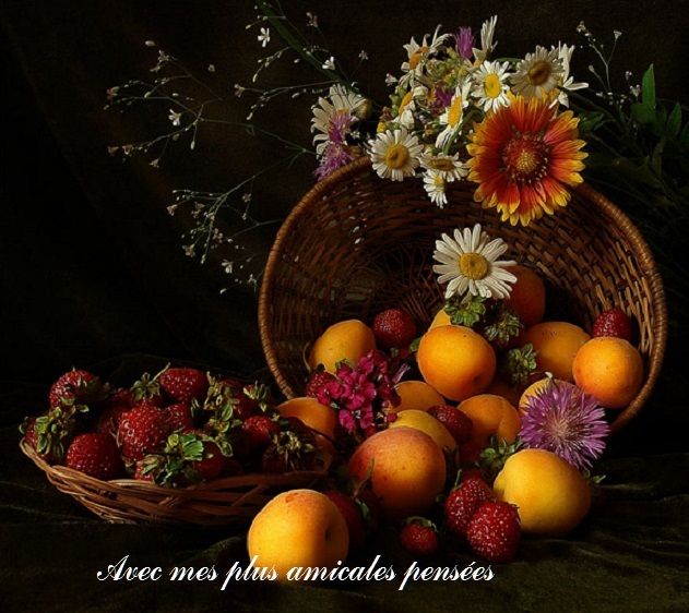 http://img.over-blog-kiwi.com/1/54/11/16/20160818/ob_b116d5_amicales.jpg