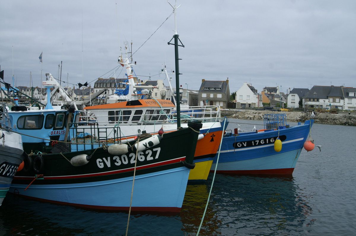 Le Guilvinec, premier port de pêche français - Aventures et découvertes  autour du monde