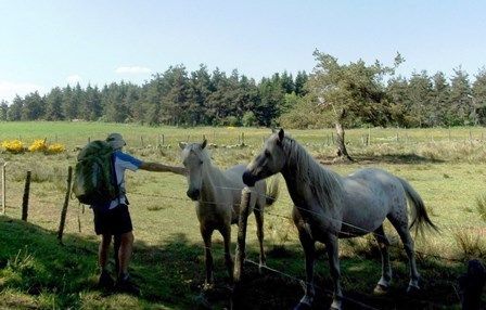Quand l'homme et le cheval...