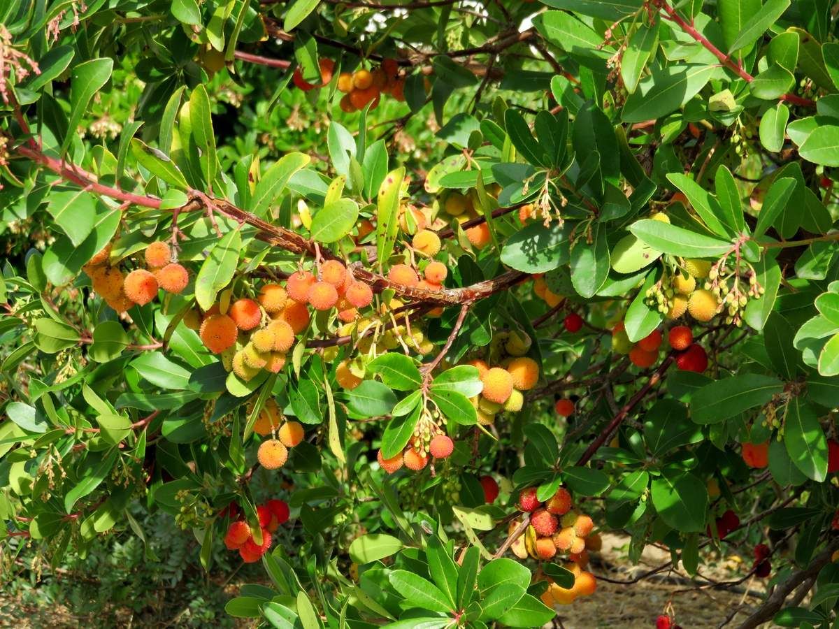 rencontre grande motte