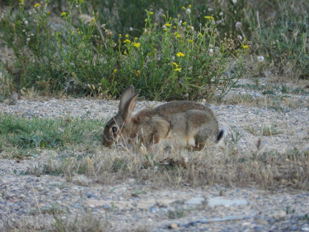Nouvelle rencontre