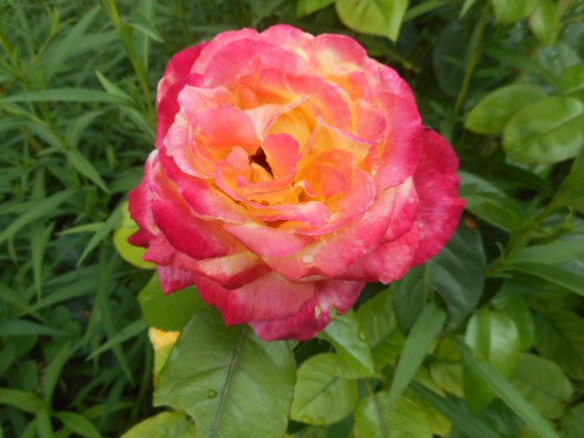 site de rencontre helsinki