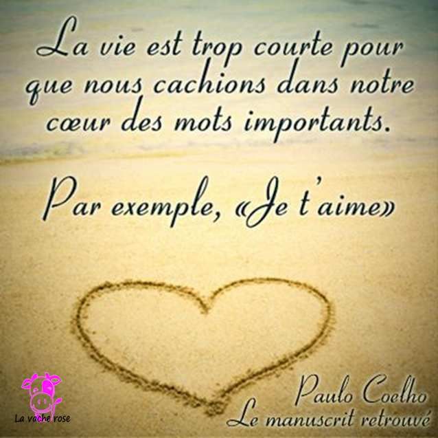 Citation Paulo Coelho Amour