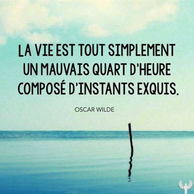 Oscar Wilde 21 Citations La vache rose