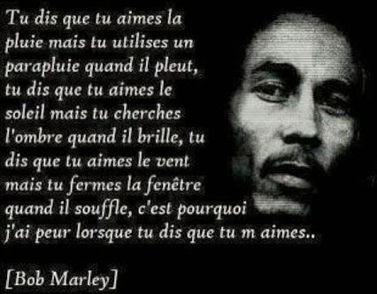 Bob Marley 18 Citations La Vache Rose
