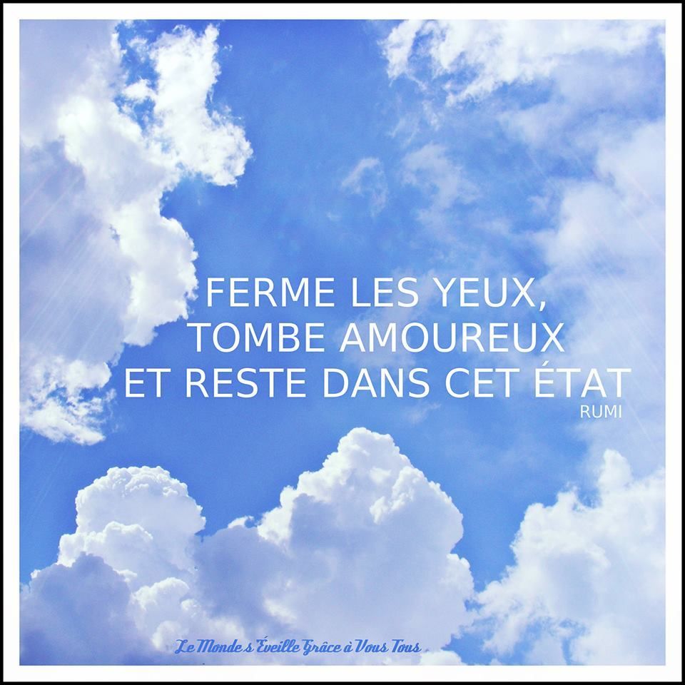 Rumi 10 Citations La vache rose