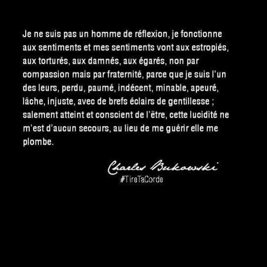 Charles Bukowski 5 Citations La vache rose