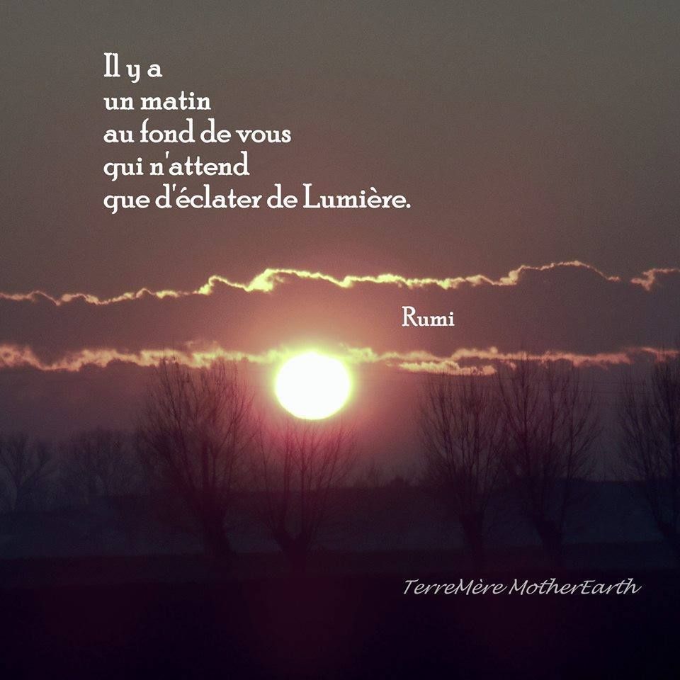 Rumi 10 Citations La vache rose