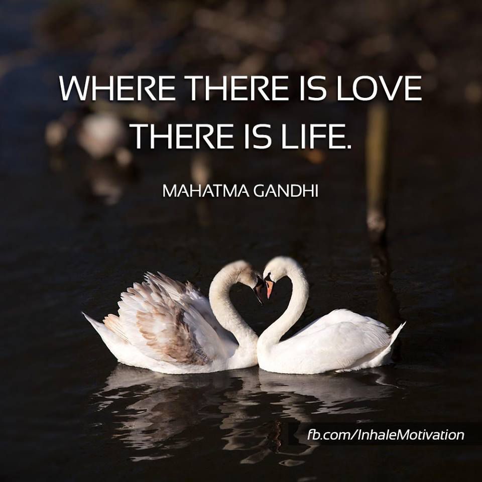 The most beautiful quotes of love - Serie 2