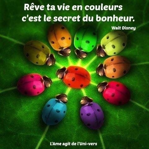 Walt Disney 2 Citations La Vache Rose