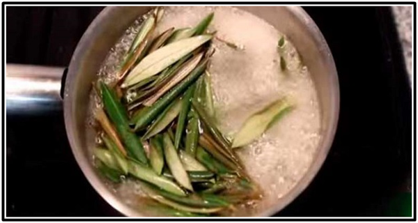 Dites adieu au diabète, aux Accidents Vasculaires Cérébraux, à l’hypertension, à la maladie d’Alzheimer en utilisant ces feuilles naturelles…(RECETTE) !