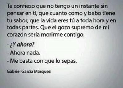 Gabriel García Márquez 8 frases en imagenes - La vache rose espagnole