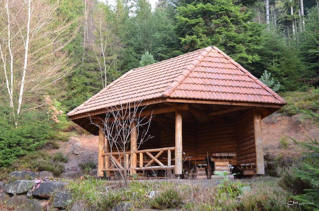 rencontre lutzelhouse