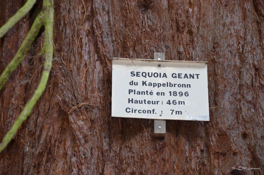 rencontre lutzelhouse