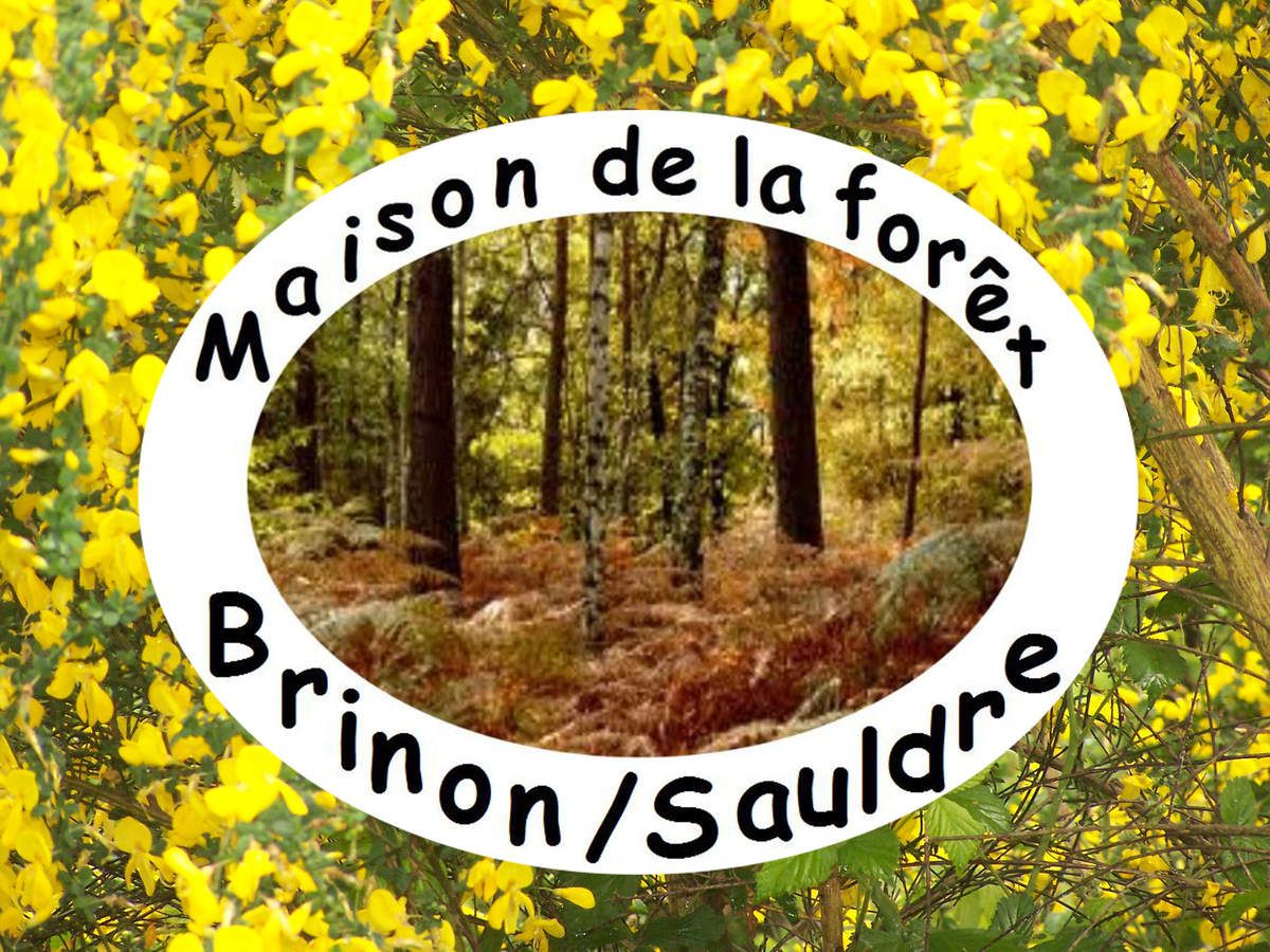 Maison de la forêt de BRINON sur Sauldre 