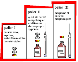 Fait mal le rein et la température haut à la grossesse