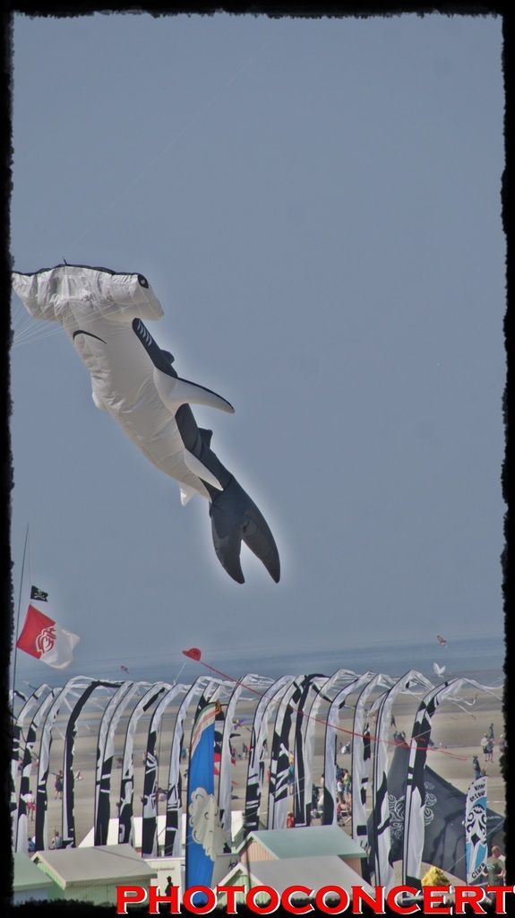 rencontres internationales cerfs volants