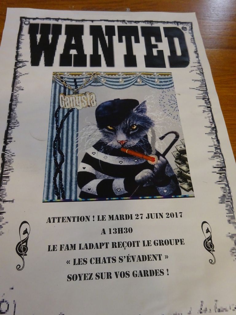 chat amiens