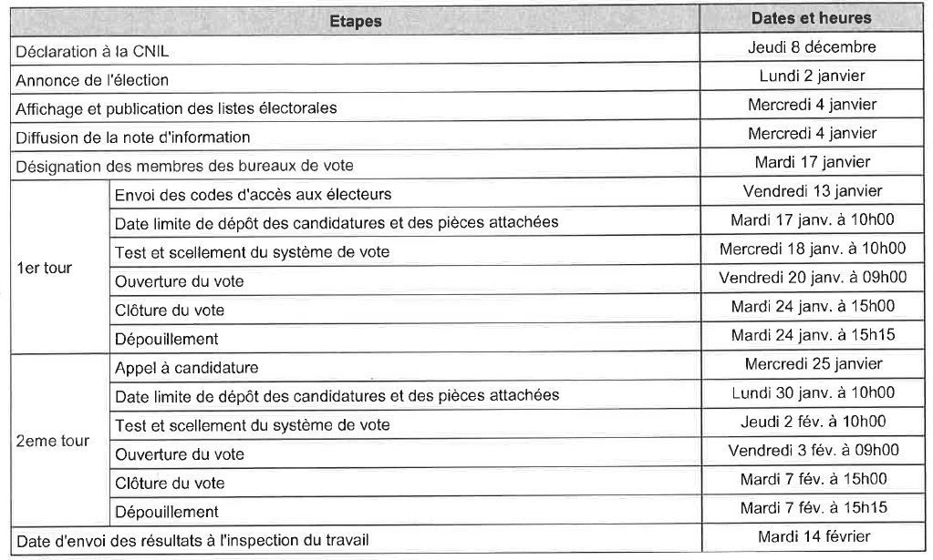 Delegue De Liste Elections Professionnelles.html