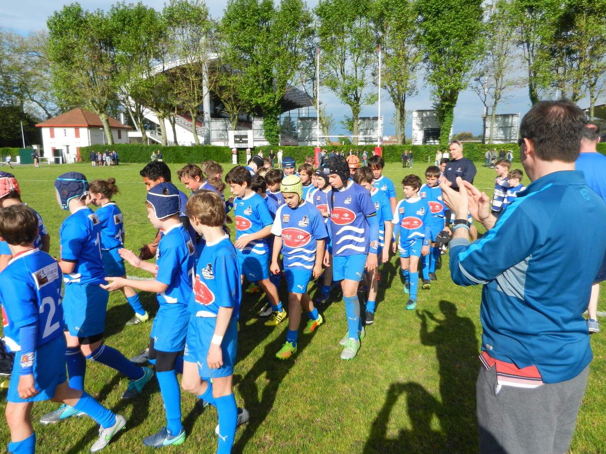 rencontre irlandaise tocane