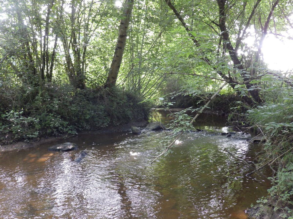 Saint Benoit du Sault, Montgarnaud, Les Gorces, La Dinière Balades à