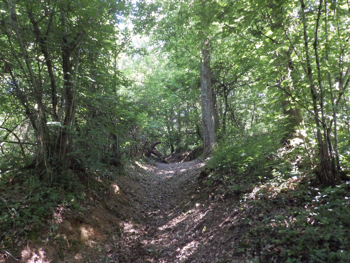 Saint Benoit du Sault, Montgarnaud, Les Gorces, La Dinière Balades à