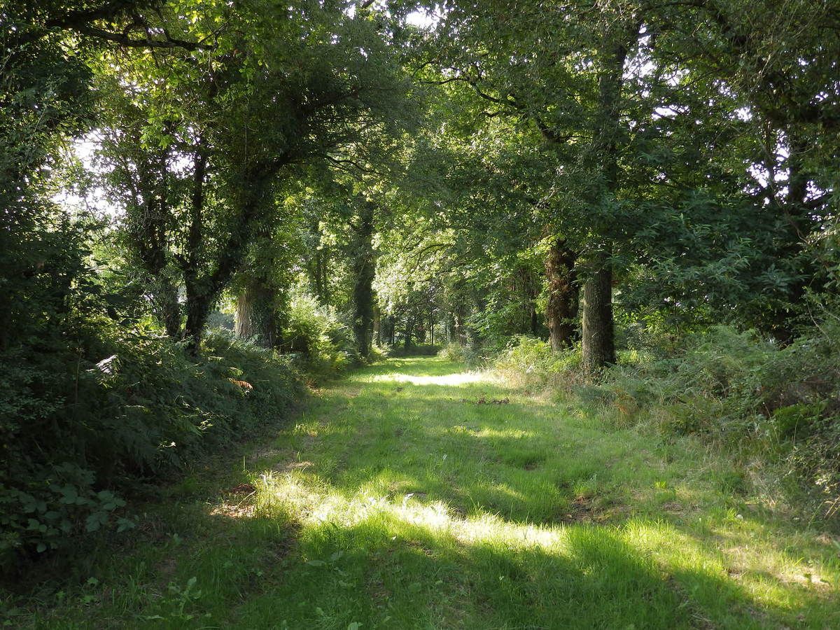 Saint Benoit du Sault, Montgarnaud, Les Gorces, La Dinière Balades à
