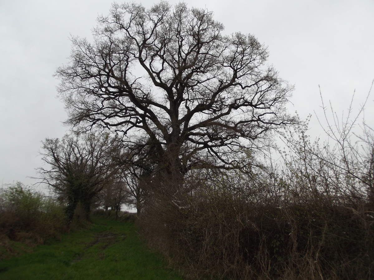 Saint Benoit du Sault, Montgarnaud, Les Gorces, La Dinière Balades à