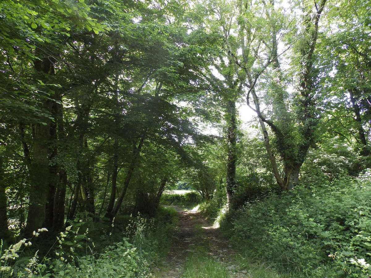 Saint Benoit du Sault, Montgarnaud, Les Gorces, La Dinière Balades à