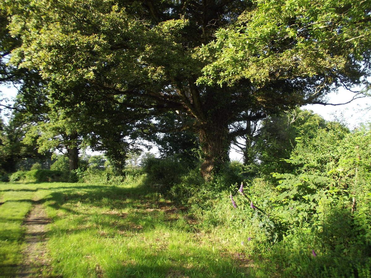 Saint Benoit du Sault, Montgarnaud, Les Gorces, La Dinière Balades à