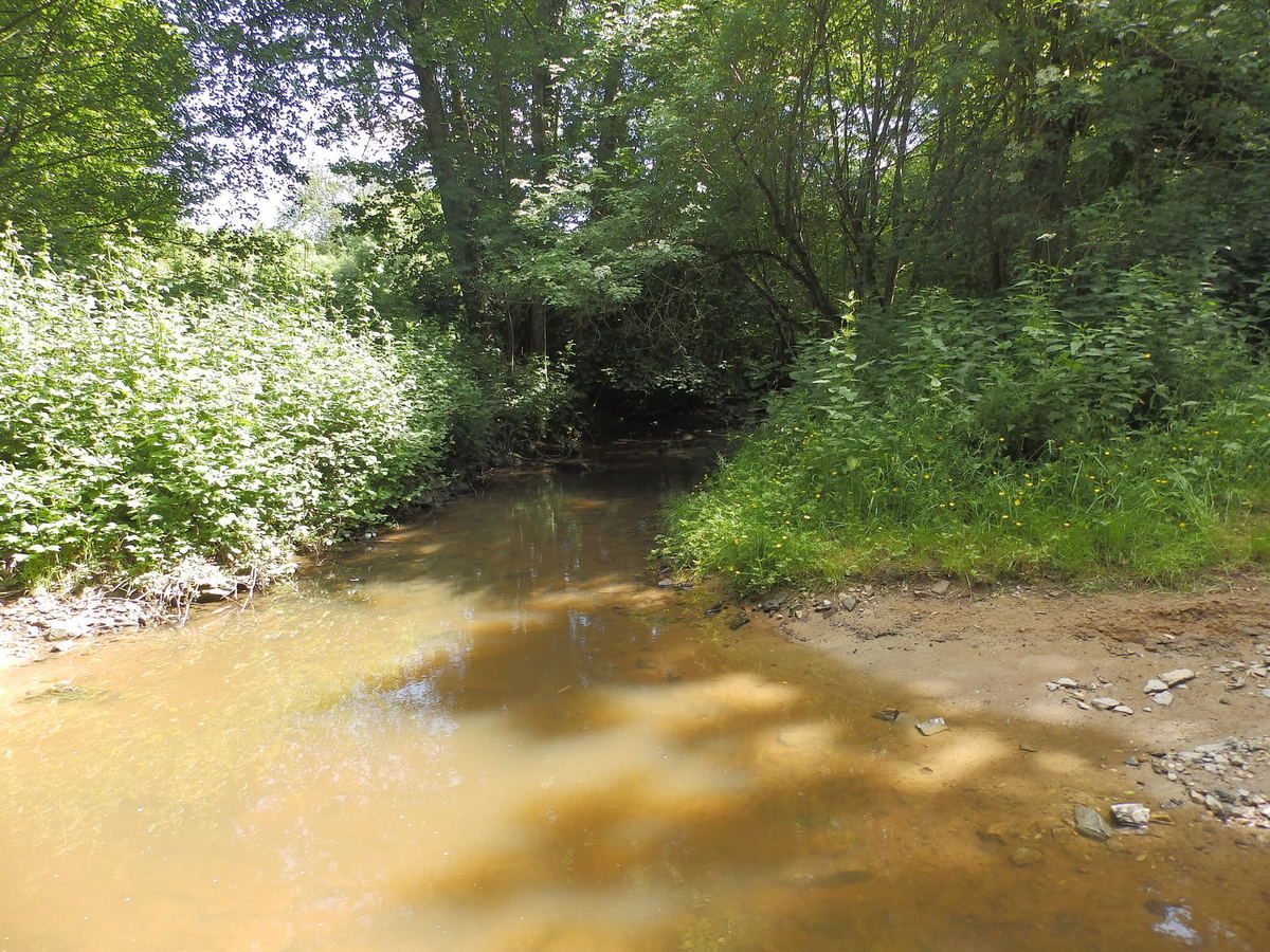 Saint Benoit du Sault, Montgarnaud, Les Gorces, La Dinière Balades à