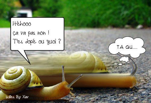 img http://img.over-blog-kiwi.com/1/71/69/57/20150715/ob_ebcab5_course-d-escargots-4.jpg /img