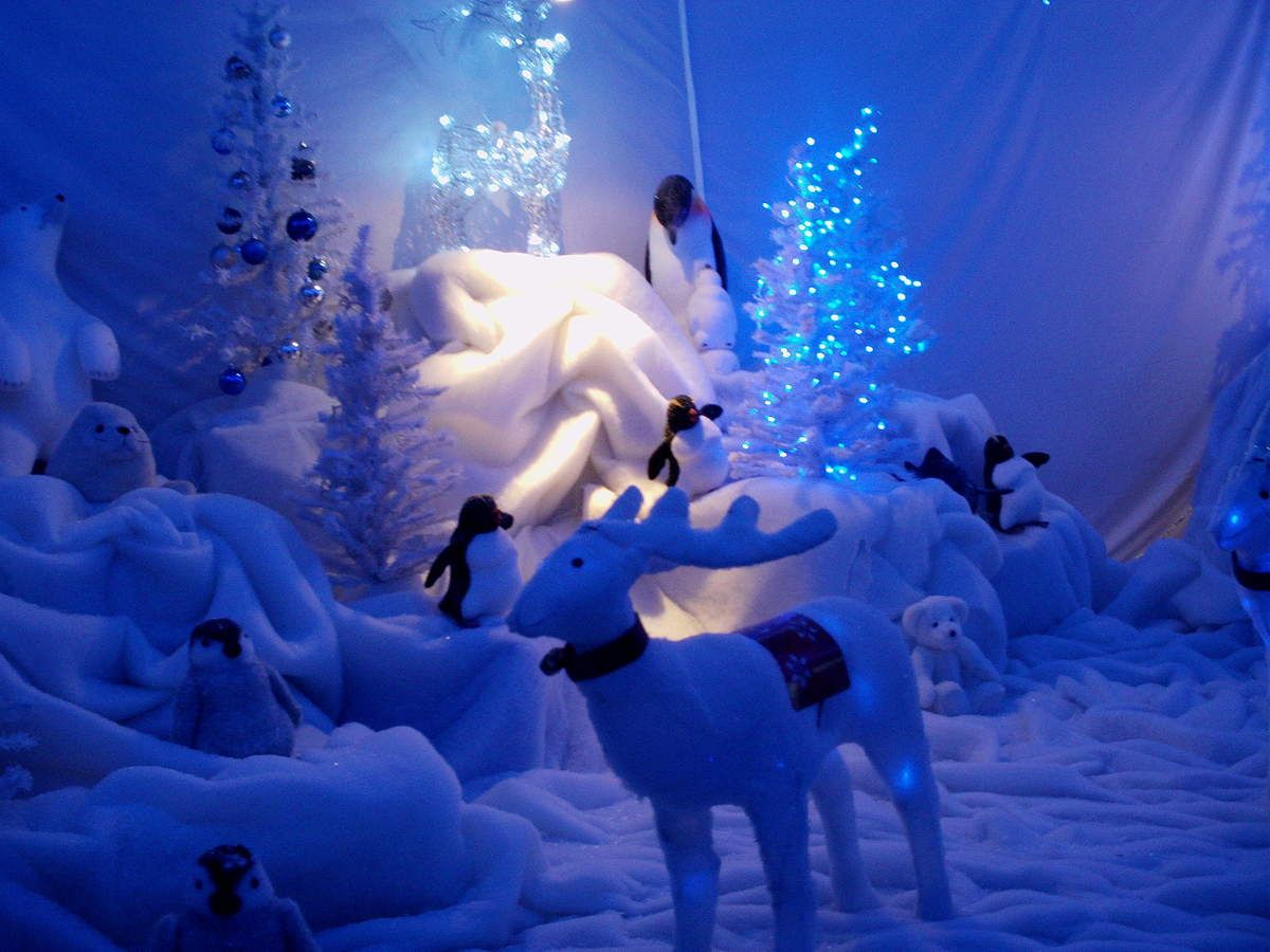 Féerie de Noël à Aniane dans l'Hérault - Créations sur toutes ses