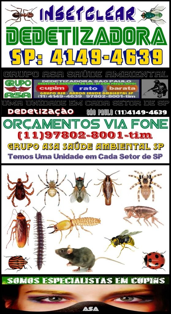 Dedetização ZN SP Orç.Via Fone:11-94663.0815-oi-What’s App-ZS-ZL-ZO-Centro