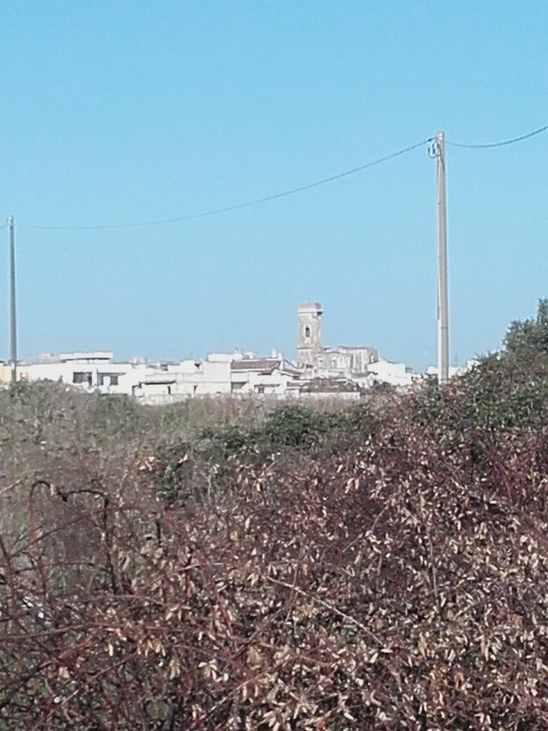 Carpignano, au petit matin
