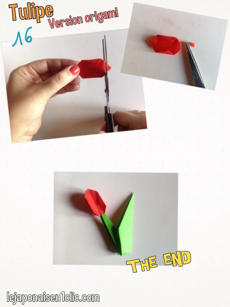 Origami : la tulipe