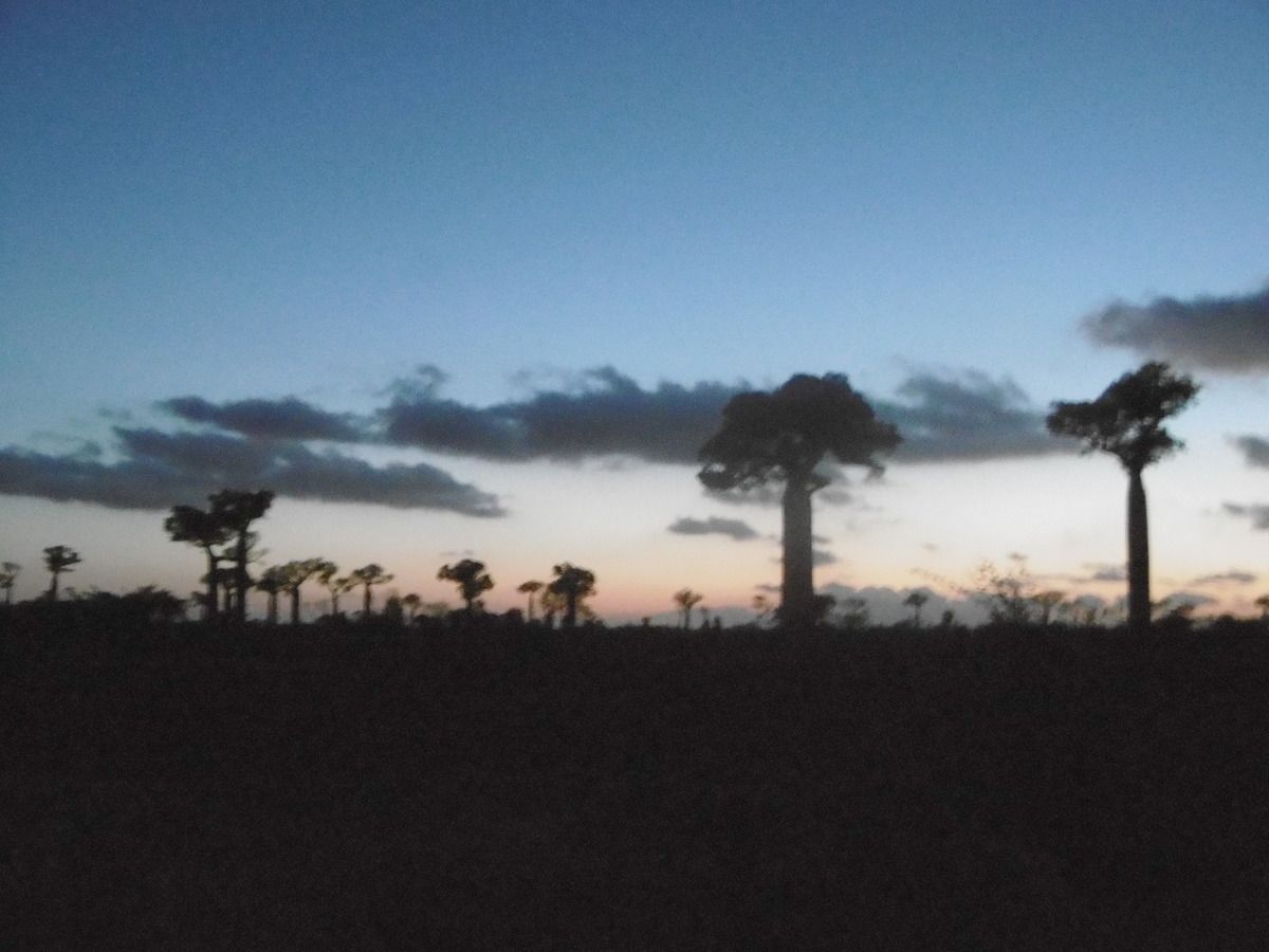 rencontre madagascar tamatave