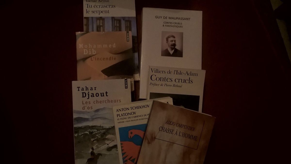 NOUVELLES DE ROMAIN GARY vivelalecture