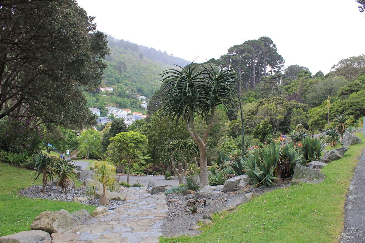 De Tongariro à Wellington