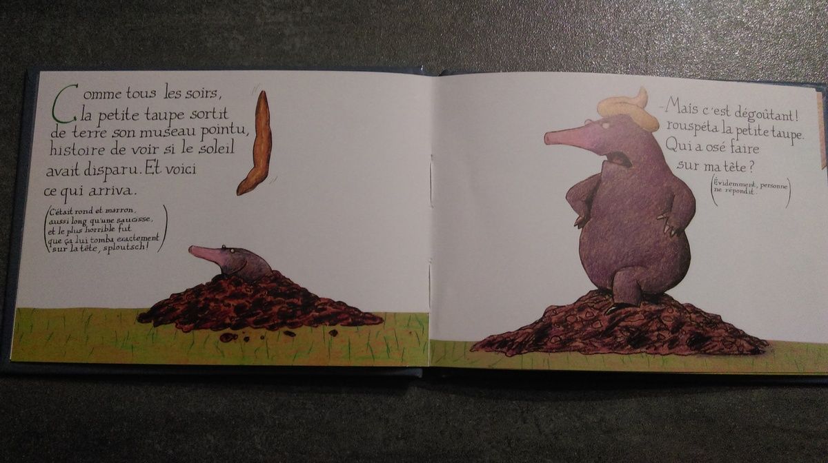 Qui A Fait Caca Sur La Tete De La Taupe De la petite taupe qui voulait savoir qui lui avait fait sur la tête - Les  Perles de Maman