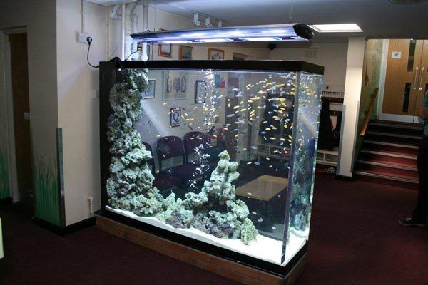 Aquarium Acrylic Unik Minat Hubungi Aditya Via Wa 089619395080