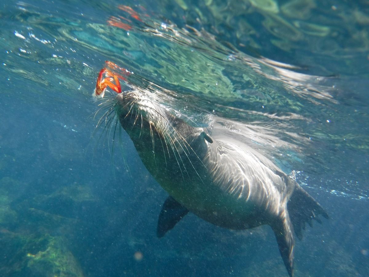 rencontre terre mer