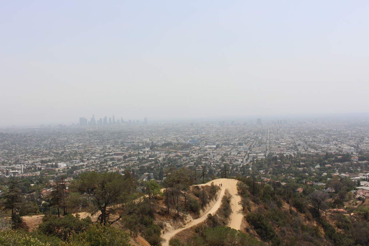 Los Angeles, vue de Griffith Park