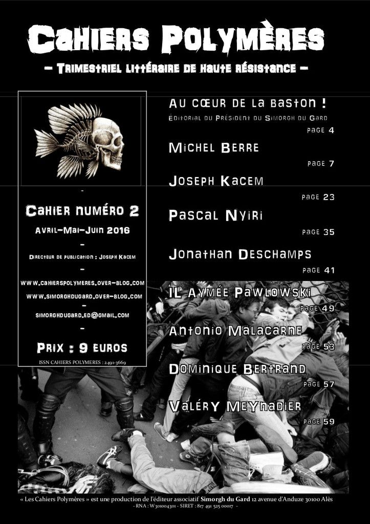 Cahier Polymère n°2