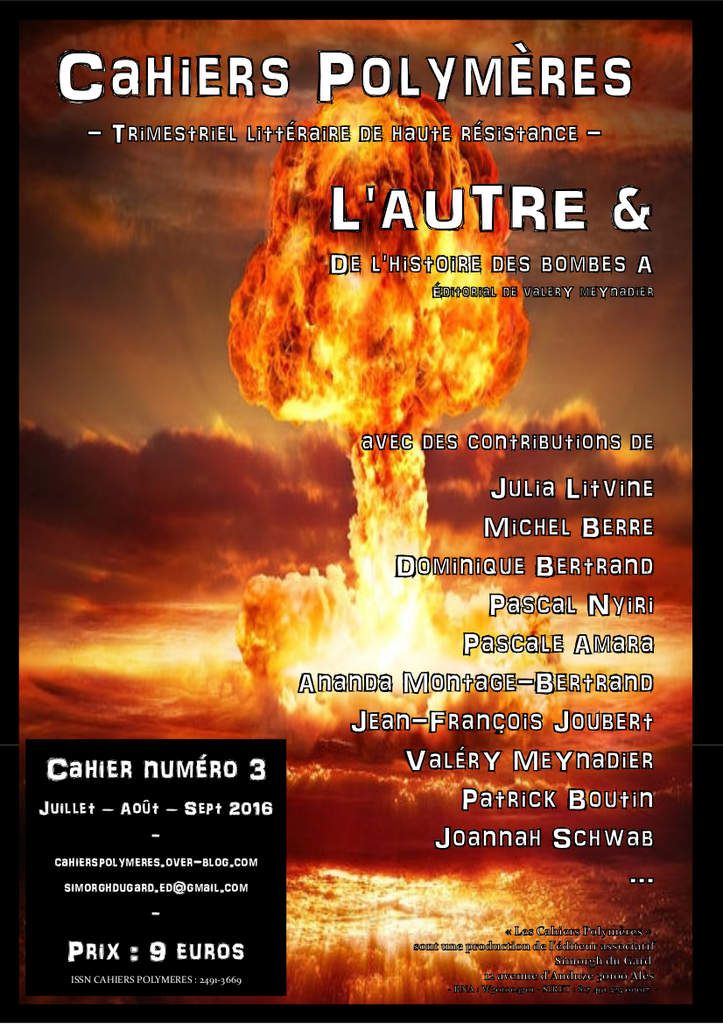 Cahier Polymère n°3