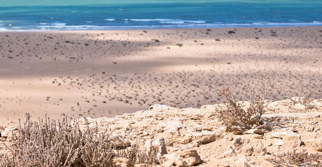 rencontre maroc agadir