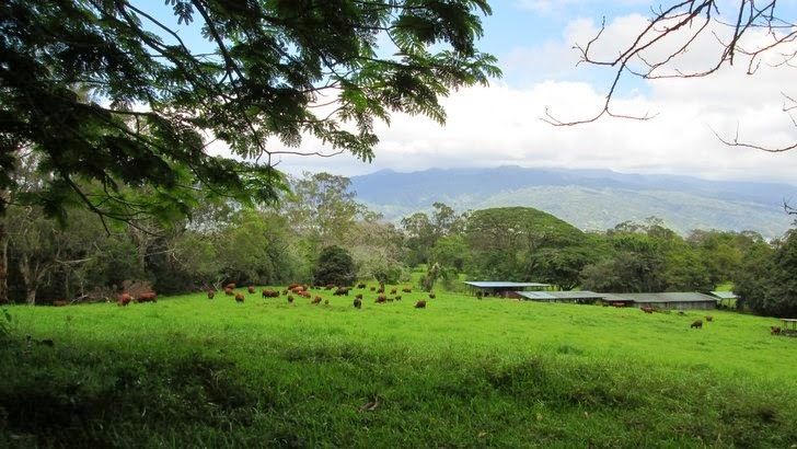 Rencontre tahiti taravao